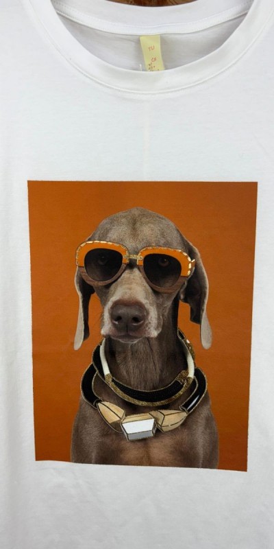 camiseta dog-camiseta original-camiseta barata-camiseta bonita